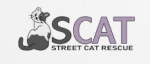 Scat Street Cat Rescue Program Inc. charity