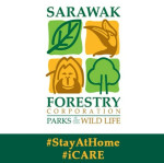 Sarawak Forestry Corporation