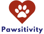 Pawsitivity Aka Pawsitivity Service Dogs charity