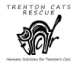 Trenton Cats Rescue charity