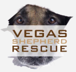 Vegas Shepherd Rescue charity
